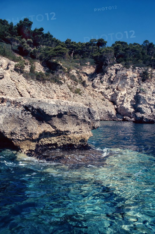 Nature, Italy, region of Puglia 1975 Isole Tremiti (Tremiti islands).