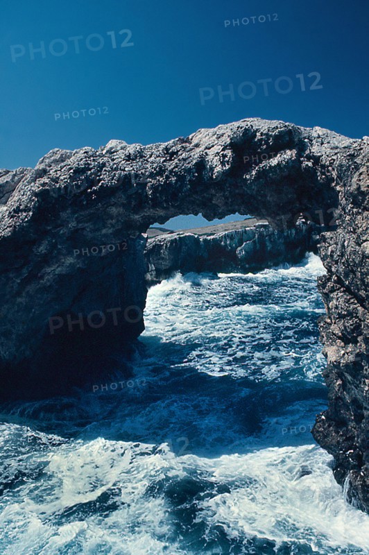 Nature, Italy, region of Puglia 1975 Isole Tremiti (Tremiti islands).