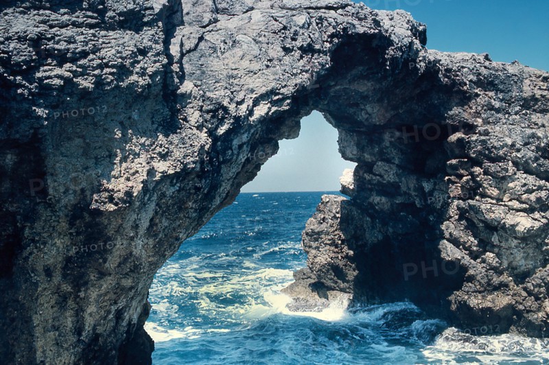 Nature, Italy, region of Puglia 1975 Isole Tremiti (Tremiti islands).