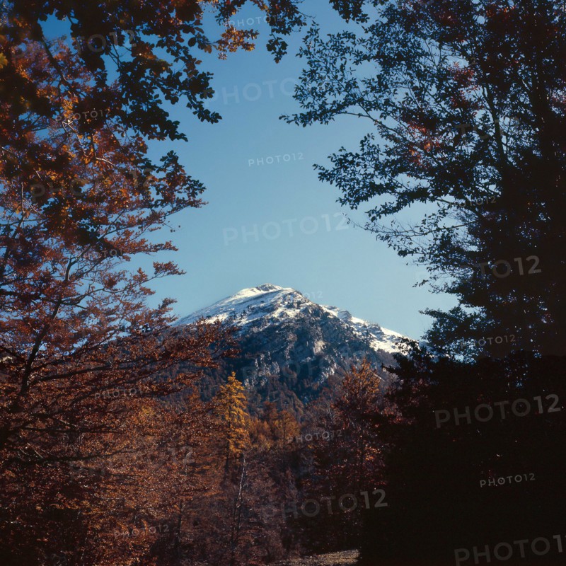 Nature, Italy, region of Calabria 1975 Comprensorio del Pollino - Monte Pollino (Pollino Mountain-Calabria National Park).