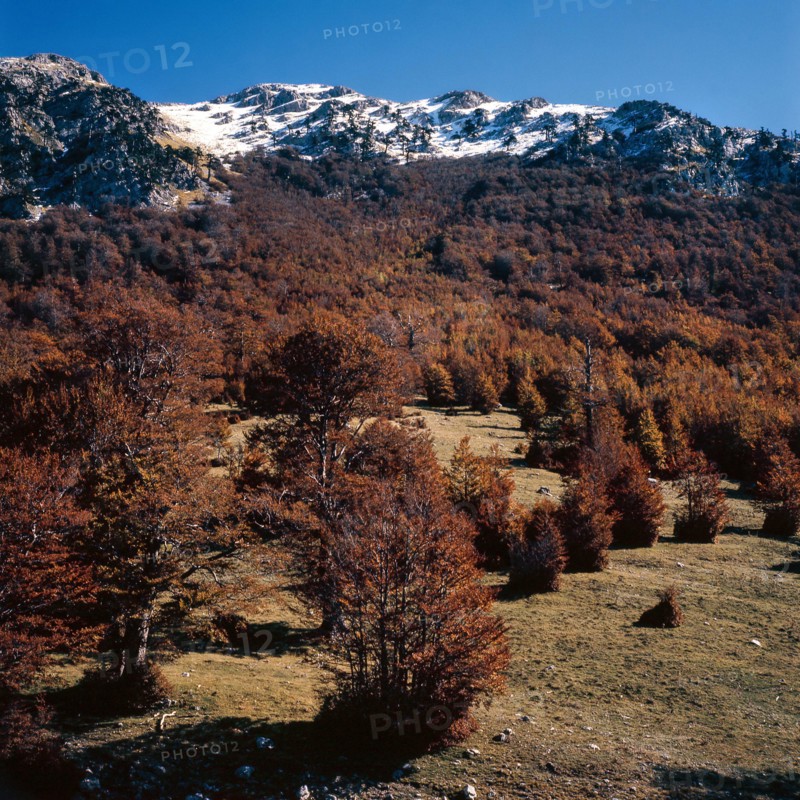 Nature, Italy, region of Calabria 1975 Comprensorio del Pollino - Monte Pollino (Pollino Mountain-Calabria National Park).