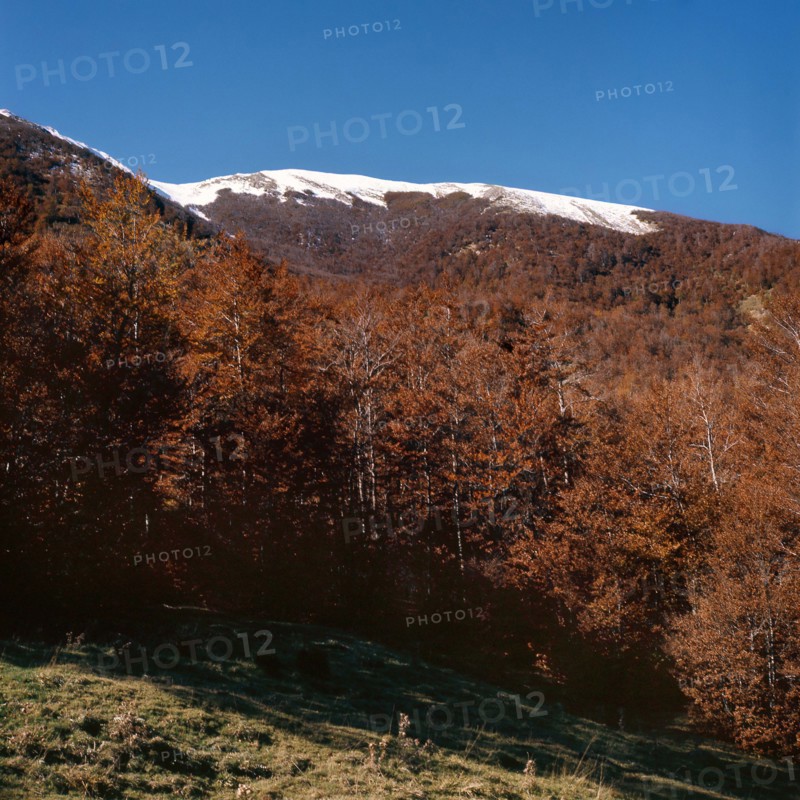 Nature, Italy, region of Calabria 1975 Comprensorio del Pollino - Monte Pollino (Pollino Mountain-Calabria National Park).