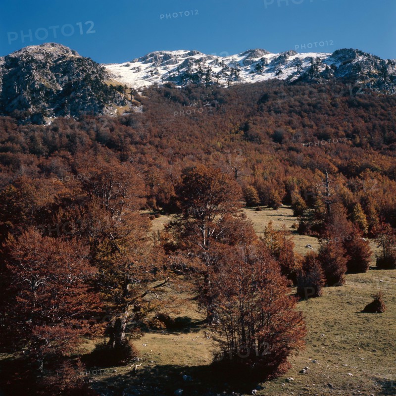 Nature, Italy, region of Calabria 1975 Comprensorio del Pollino - Monte Pollino (Pollino Mountain-Calabria National Park).