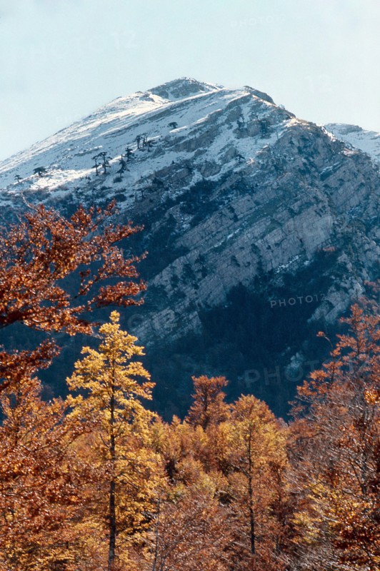 Nature, Italy, region of Calabria 1975 Comprensorio del Pollino - Monte Pollino (Pollino Mountain-Calabria National Park).