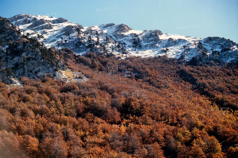 Nature, Italy, region of Calabria 1975 Comprensorio del Pollino - Monte Pollino (Pollino Mountain-Calabria National Park).