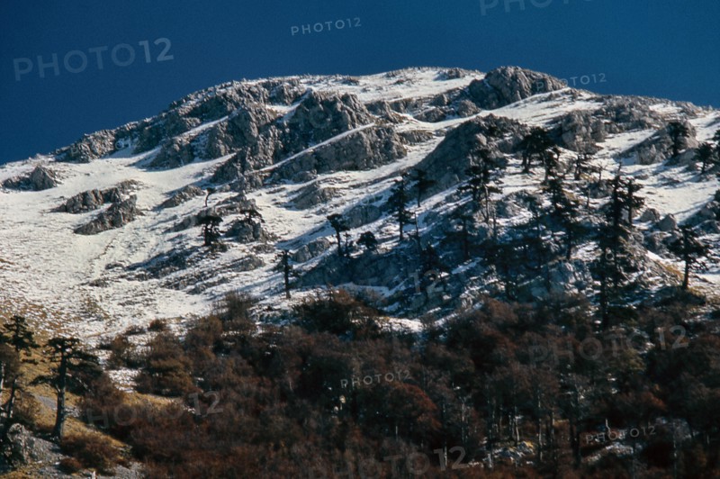 Nature, Italy, region of Calabria 1975 Comprensorio del Pollino - Monte Pollino (Pollino Mountain-Calabria National Park).