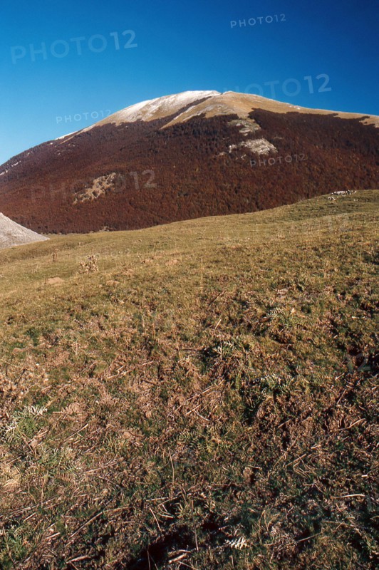 Nature, Italy, region of Calabria 1975 Comprensorio del Pollino - Monte Pollino (Pollino Mountain-Calabria National Park).