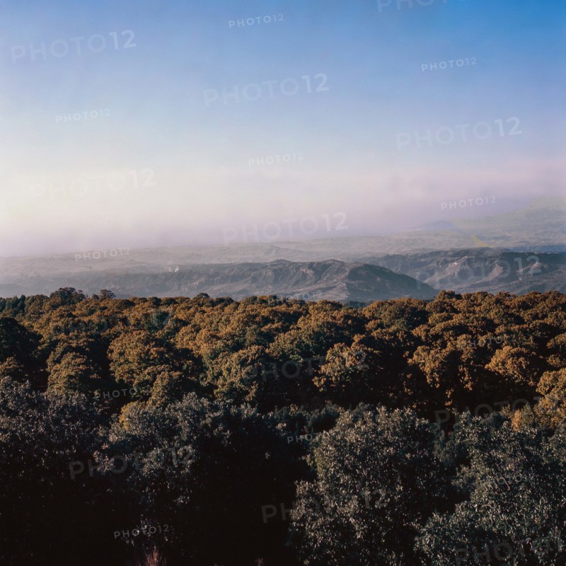 Nature, Italy, region of Calabria 1975 Sila Piccola (Little Sila).