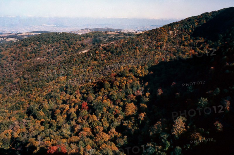 Nature, Italy, region of Calabria 1975 Sila Piccola (Little Sila).