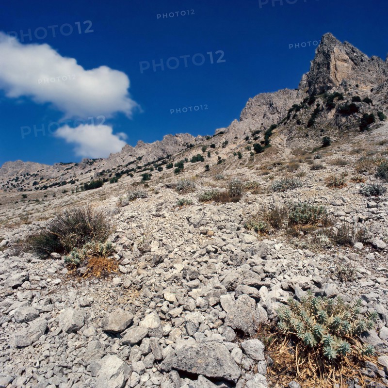 Nature, Italy, region of Sicilia 1975 Le Madonie (Tne Madonie).