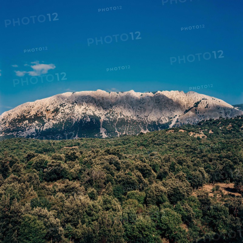 Nature, Italy, region of Sicilia 1975 Le Madonie (Tne Madonie).