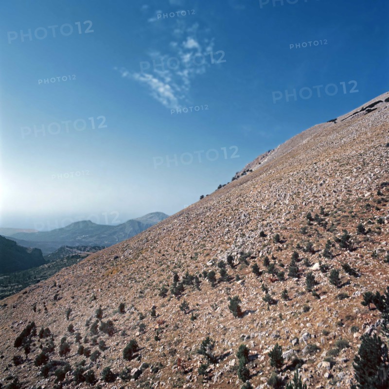 Nature, Italy, region of Sicilia 1975 Le Madonie (Tne Madonie).