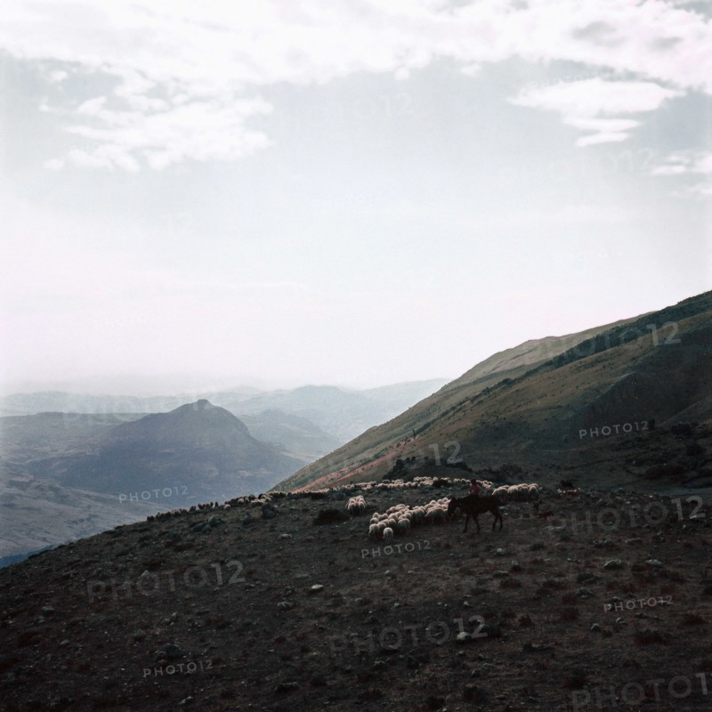 Nature, Italy, region of Sicilia 1975 Le Madonie (Tne Madonie).