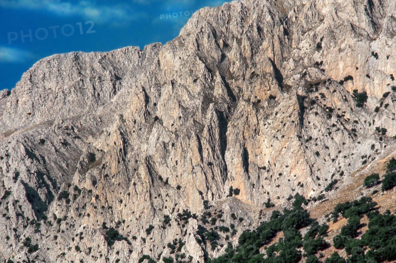 Nature, Italy, region of Sicilia 1975 Le Madonie (Tne Madonie).