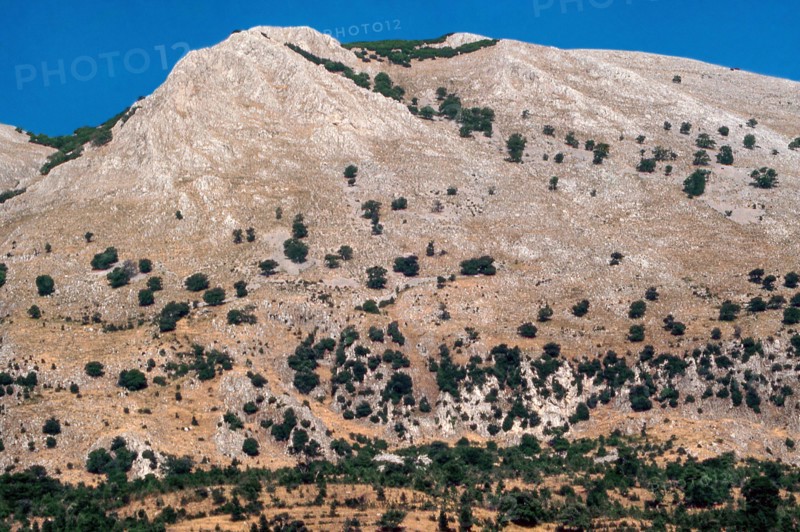 Nature, Italy, region of Sicilia 1975 Le Madonie (Tne Madonie).