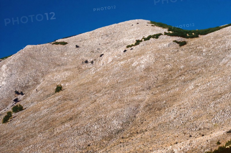 Nature, Italy, region of Sicilia 1975 Le Madonie (Tne Madonie).