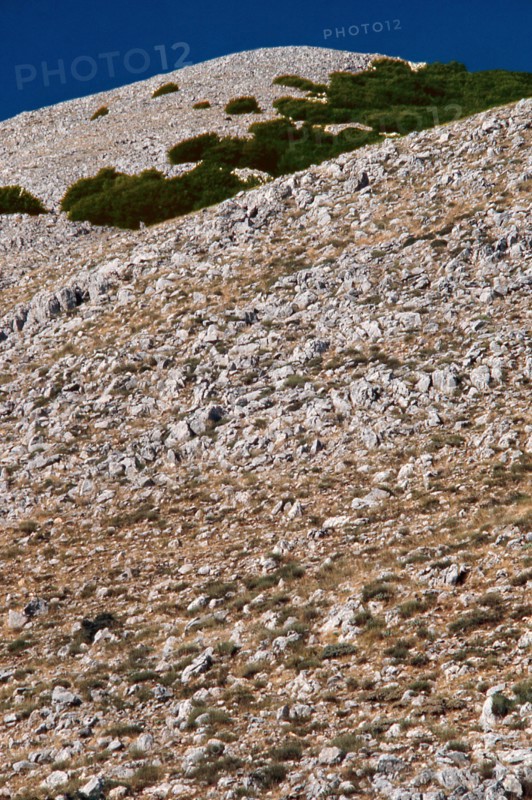 Nature, Italy, region of Sicilia 1975 Le Madonie (Tne Madonie).