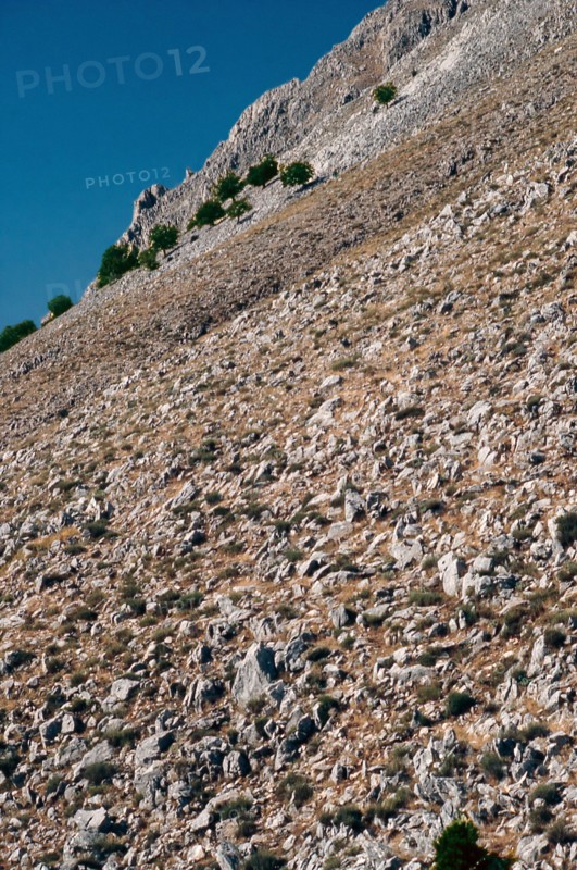 Nature, Italy, region of Sicilia 1975 Le Madonie (Tne Madonie).
