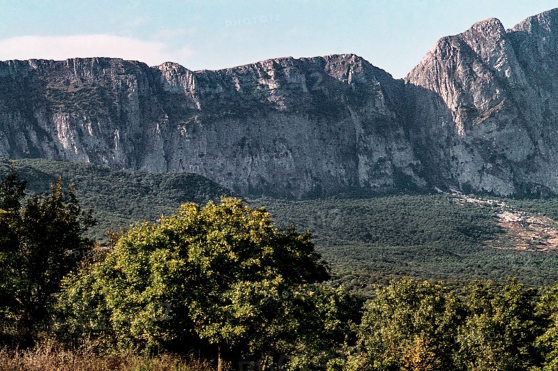Nature, Italy, region of Sicilia 1975 Rocca Busambra - Bosco della Ficuzza (Busambra Rock - Ficuzza Forest).