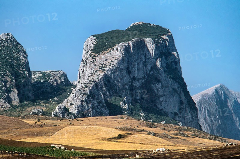 Nature, Italy, region of Sicilia 1975 Rocca Busambra - Bosco della Ficuzza (Busambra Rock - Ficuzza Forest).