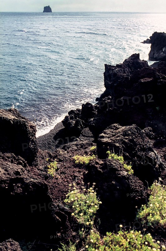 Nature, Italy, region of Sicilia 1975 Isole Eolie, Isola di Stromboli (Aeolian Islands, Stromboli  Island).
