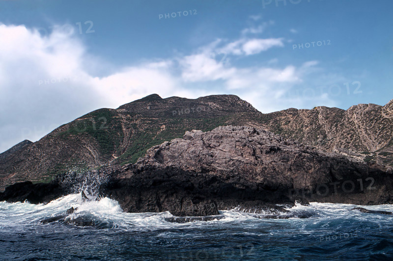 Nature, Italy, region of Sicilia 1975 Isole Egadi, Isola di Marettimo (Egadi Islands,  Marettimo Island).