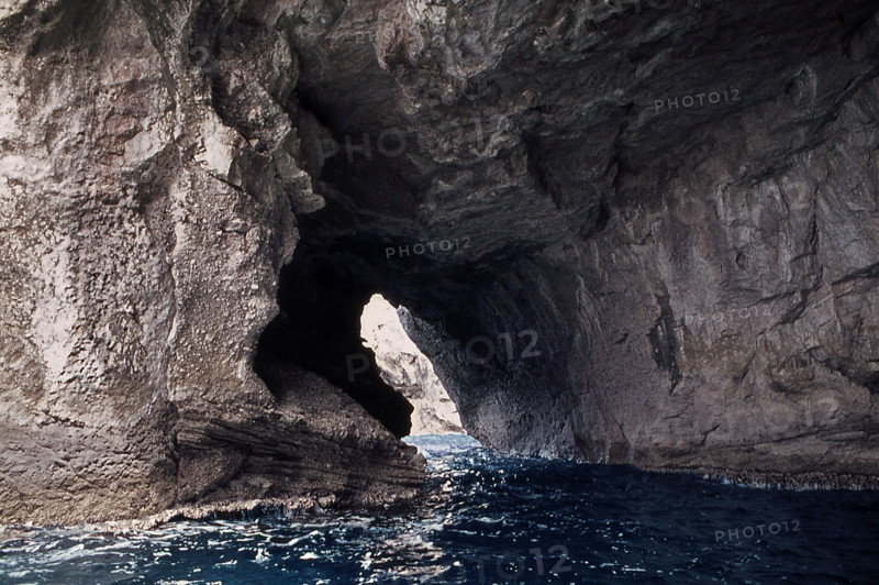 Nature, Italy, region of Sicilia 1975 Isole Egadi, Isola di Marettimo (Egadi Islands,  Marettimo Island).