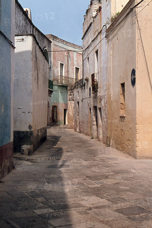 Nature, Italy, region of Sicilia 1975 Isole Egadi, Isola di Marettimo (Egadi Islands,  Marettimo Island).