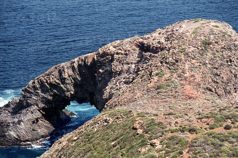 Nature, Italy, region of Sicilia 1975 Isola di Pantelleria (Pantelleria Island).