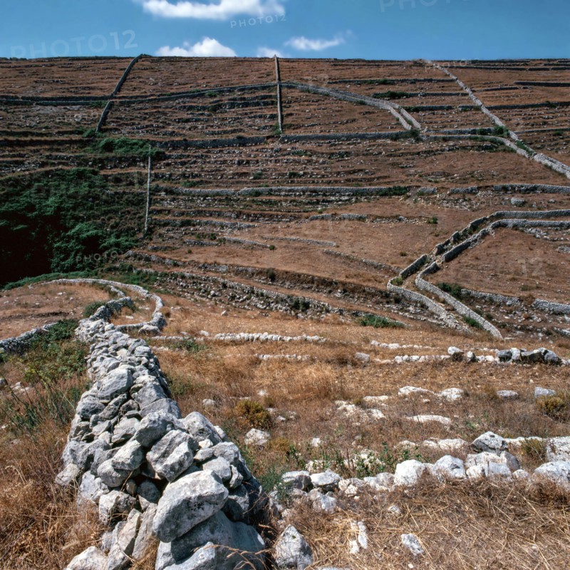 Nature, Italy, region of Sicilia 1975 Muri a secco nel Ragusano (Dry Stone walls in the Ragusano).
