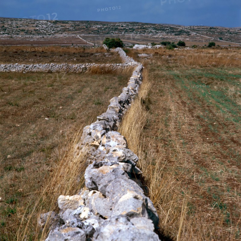 Nature, Italy, region of Sicilia 1975 Muri a secco nel Ragusano (Dry Stone walls in the Ragusano).