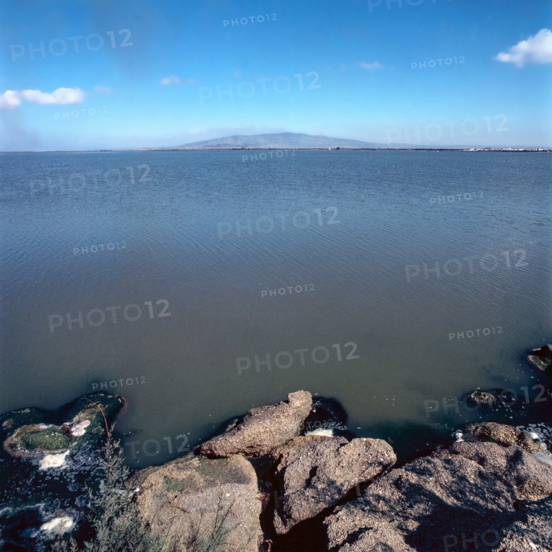 Nature, Italy, region of Sardegna 1975 Stagno Di Cabras (Cabras Pond).