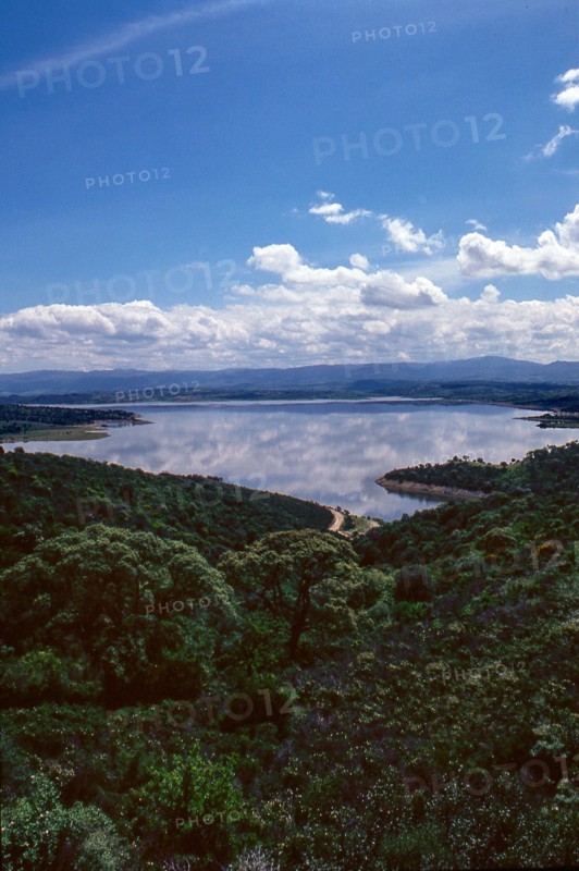 Nature, Italy, region of Sardegna 1975 Lago Omodeo (Omodeo Lake).