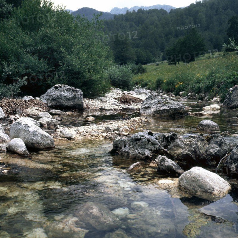 Nature, Italy, region of Abruzzo, 1975 Abruzzo Natural Park natural reserve.