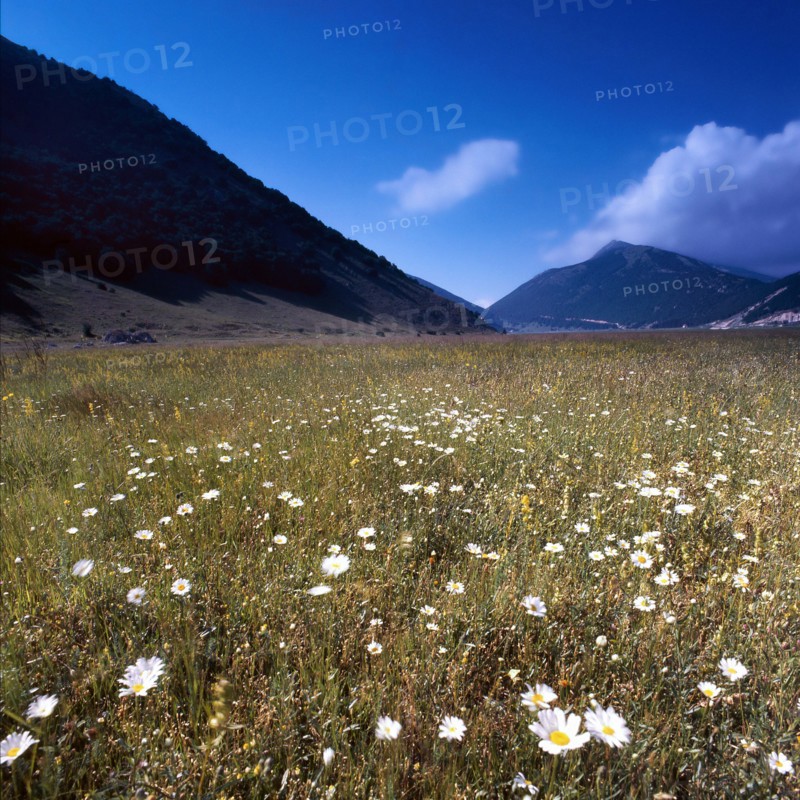 Nature, Italy, region of Abruzzo, 1975 Abruzzo Natural Park natural reserve.