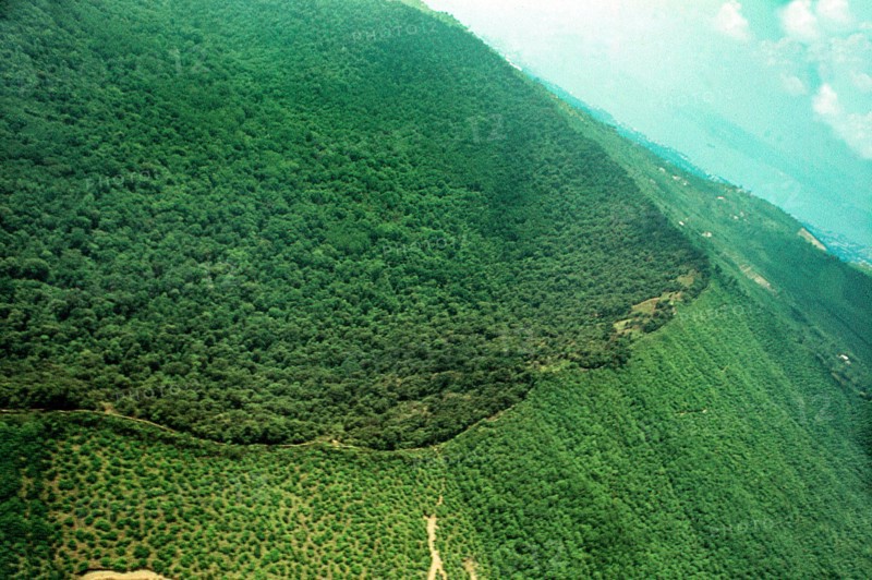 Nature, Italy, region of Campania, 1975 Astroni Crater natural reserve.