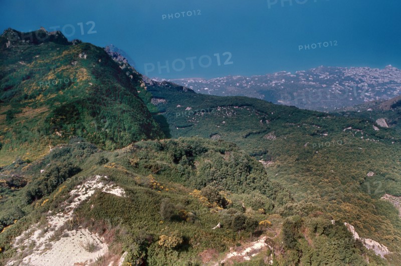 Nature, Italy, region of Campania, 1975 Ischia Monte Epomeo.