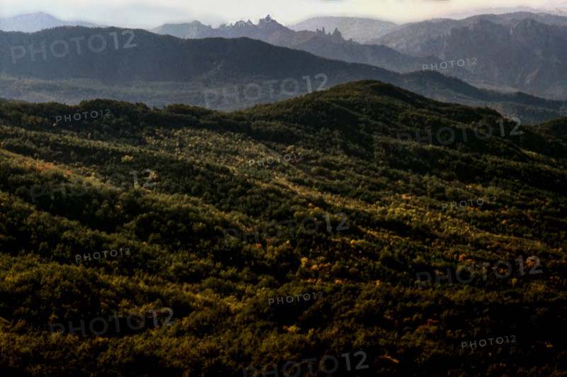 Nature, Italy, region of Basilicata, 1975 Dolomiti Lucane Regional Park.