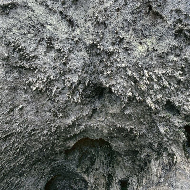 Nature, Italy, region of Puglia 1975 Costa del Salento-Grotta Zinzulusa (Salento coast- Zinzulusa cave).