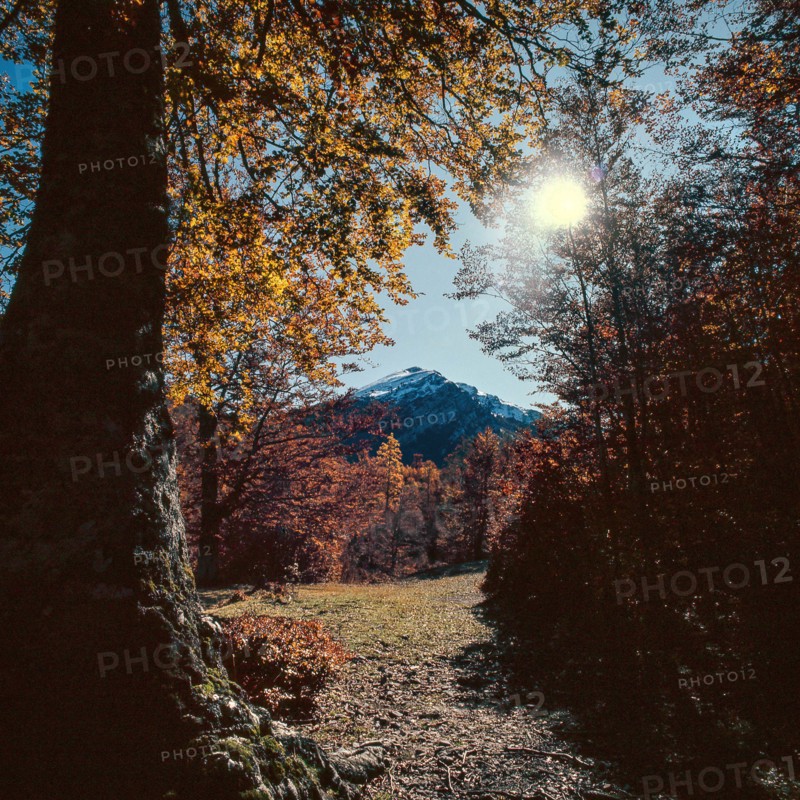 Nature, Italy, region of Calabria 1975 Comprensorio del Pollino - Monte Pollino (Pollino Mountain-Calabria National Park).