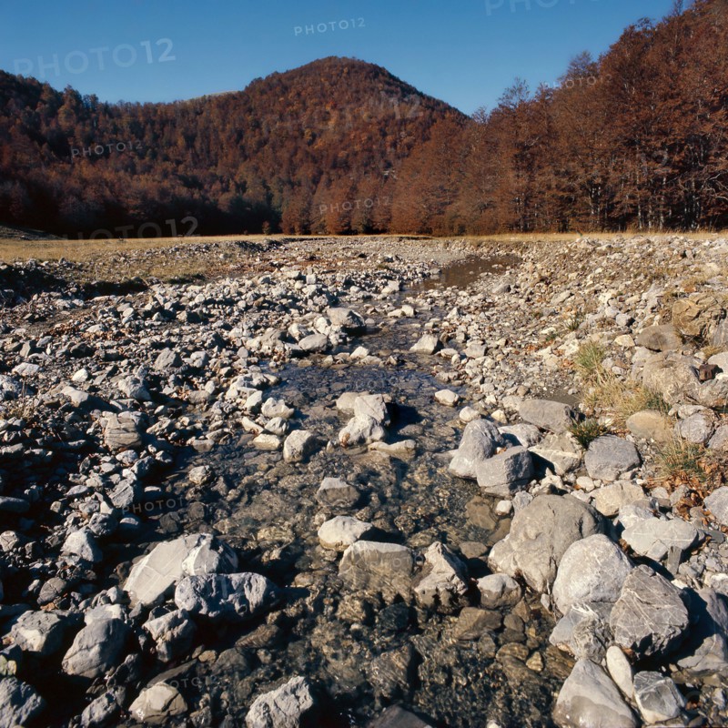 Nature, Italy, region of Calabria 1975 Comprensorio del Pollino - Monte Pollino (Pollino Mountain-Calabria National Park).