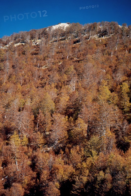 Nature, Italy, region of Calabria 1975 Comprensorio del Pollino - Monte Pollino (Pollino Mountain-Calabria National Park).