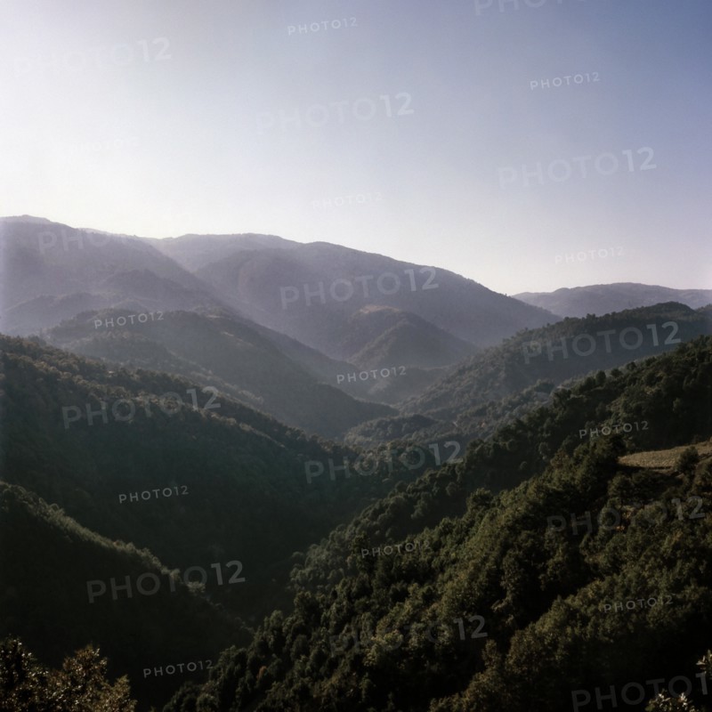 Nature, Italy, region of Calabria Serre Calabresi (Calabrese Greenhouses).
