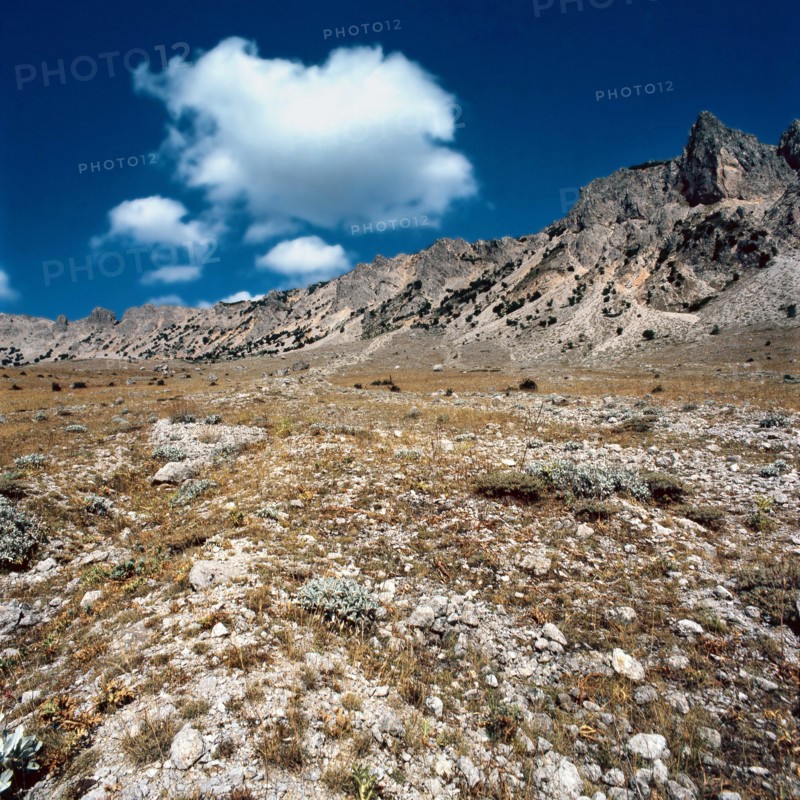 Nature, Italy, region of Sicilia 1975 Le Madonie (Tne Madonie).