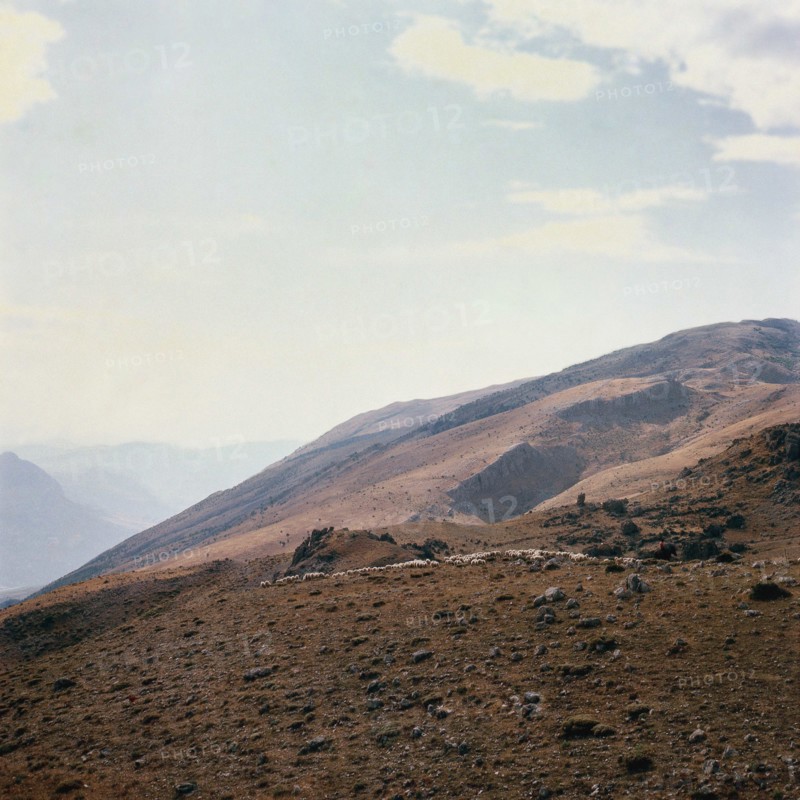 Nature, Italy, region of Sicilia 1975 Le Madonie (Tne Madonie).