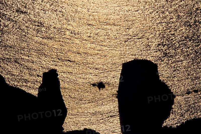 Nature, Italy, region of Sicilia 1975 Isole Eolie, Lipari Quattrocchi  (Aeolian Islands, Lipari  Island, Quattrocchi).
