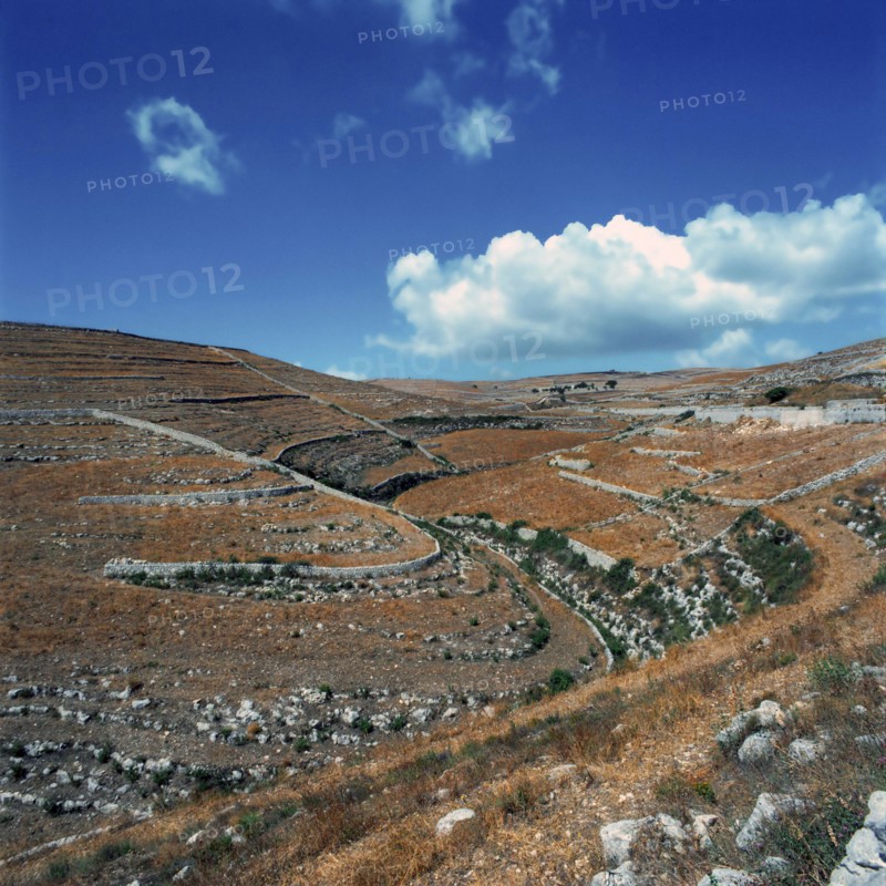Nature, Italy, region of Sicilia 1975 Muri a secco nel Ragusano (Dry Stone walls in the Ragusano).