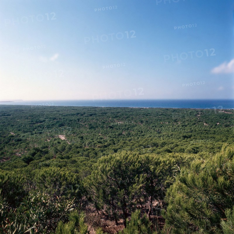Nature, Italy, region of Sardegna 1975  Costa Occidentale Coruna Niedda - Is Arenas (West Coast Coruna Niedda - Is Arenas).