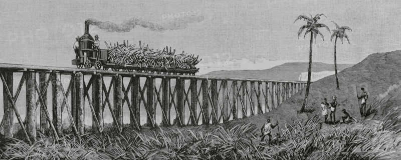 Mackay, Australia. Eastern coast of Queensland. Sugar cane production. Steam train for transporting sugar cane from the plantation to the factory. Engraving. La Ilustracion Espanola y Americana (The Spanish and American Illustration), 1883.