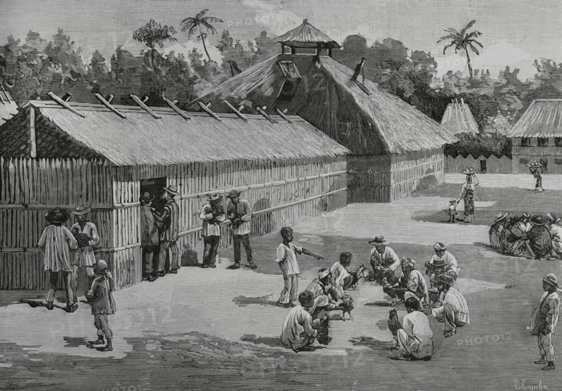 Philippines. Natives of the countryside training the fighting cocks. Drawing by Comba. Engraving. La Ilustracion Espanola y Americana (The Spanish and American Illustration), 1883.